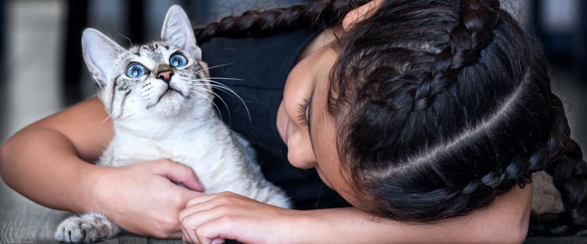 Veterinary services for pets in Denver